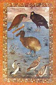 An illustration by Moghul artist Ustad Mansur, one of the first illustrations of the Dodo